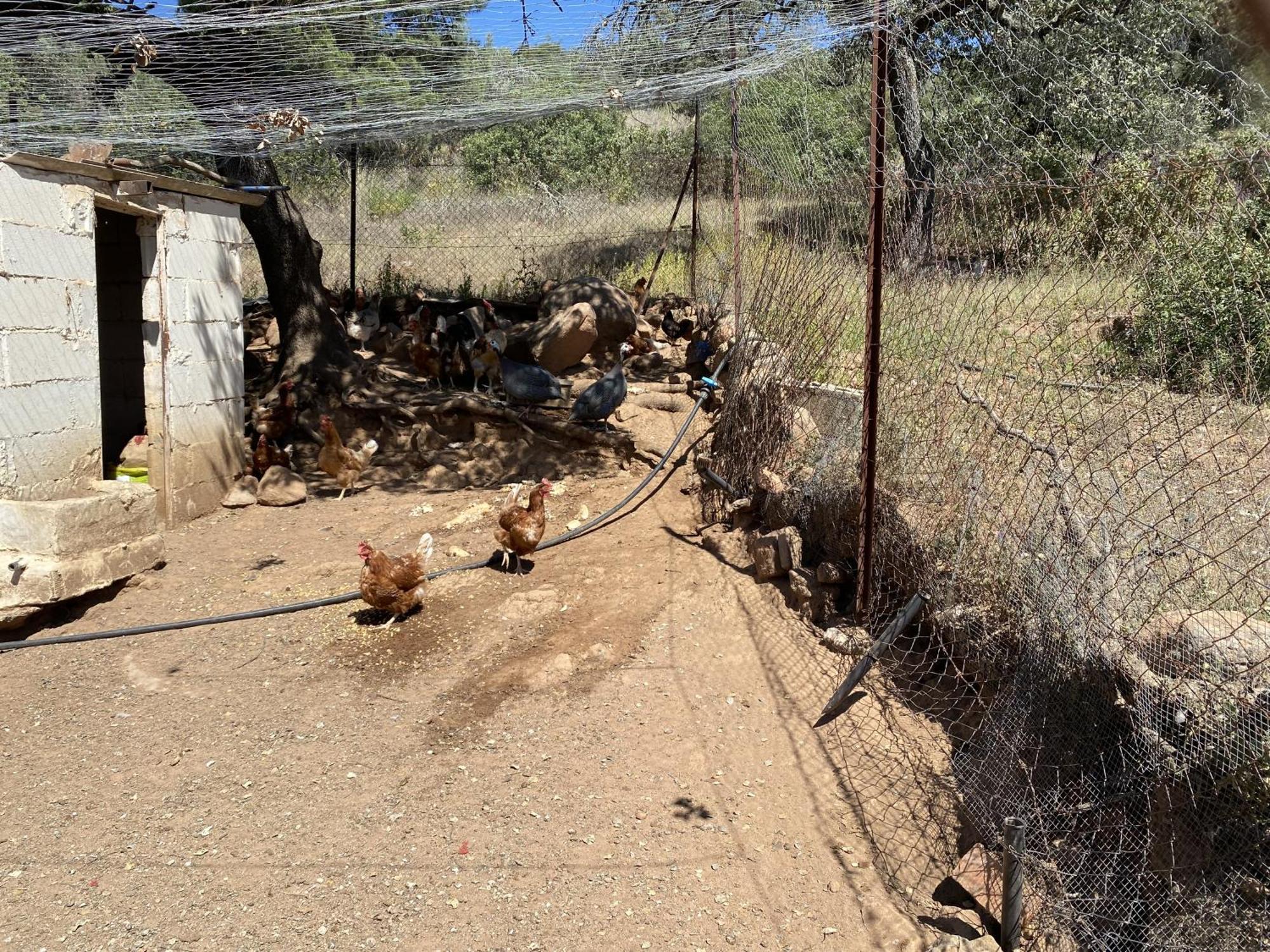 Las Chorreras Del Orejon 2 Villaviciosa de Córdoba Εξωτερικό φωτογραφία