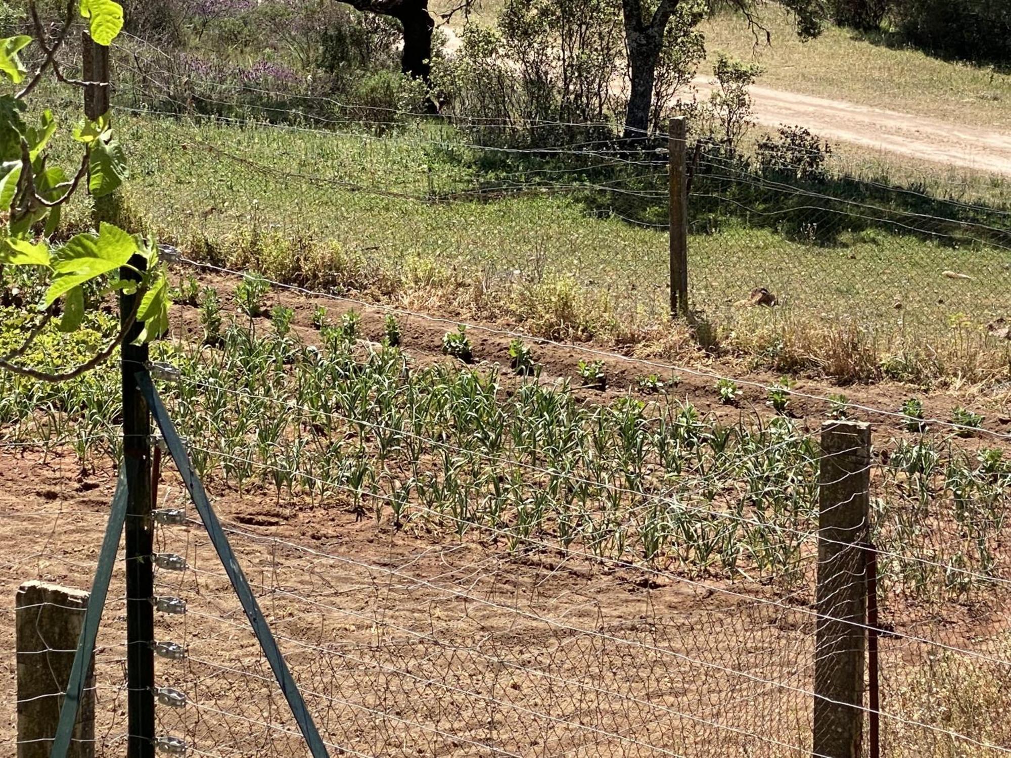 Las Chorreras Del Orejon 2 Villaviciosa de Córdoba Εξωτερικό φωτογραφία