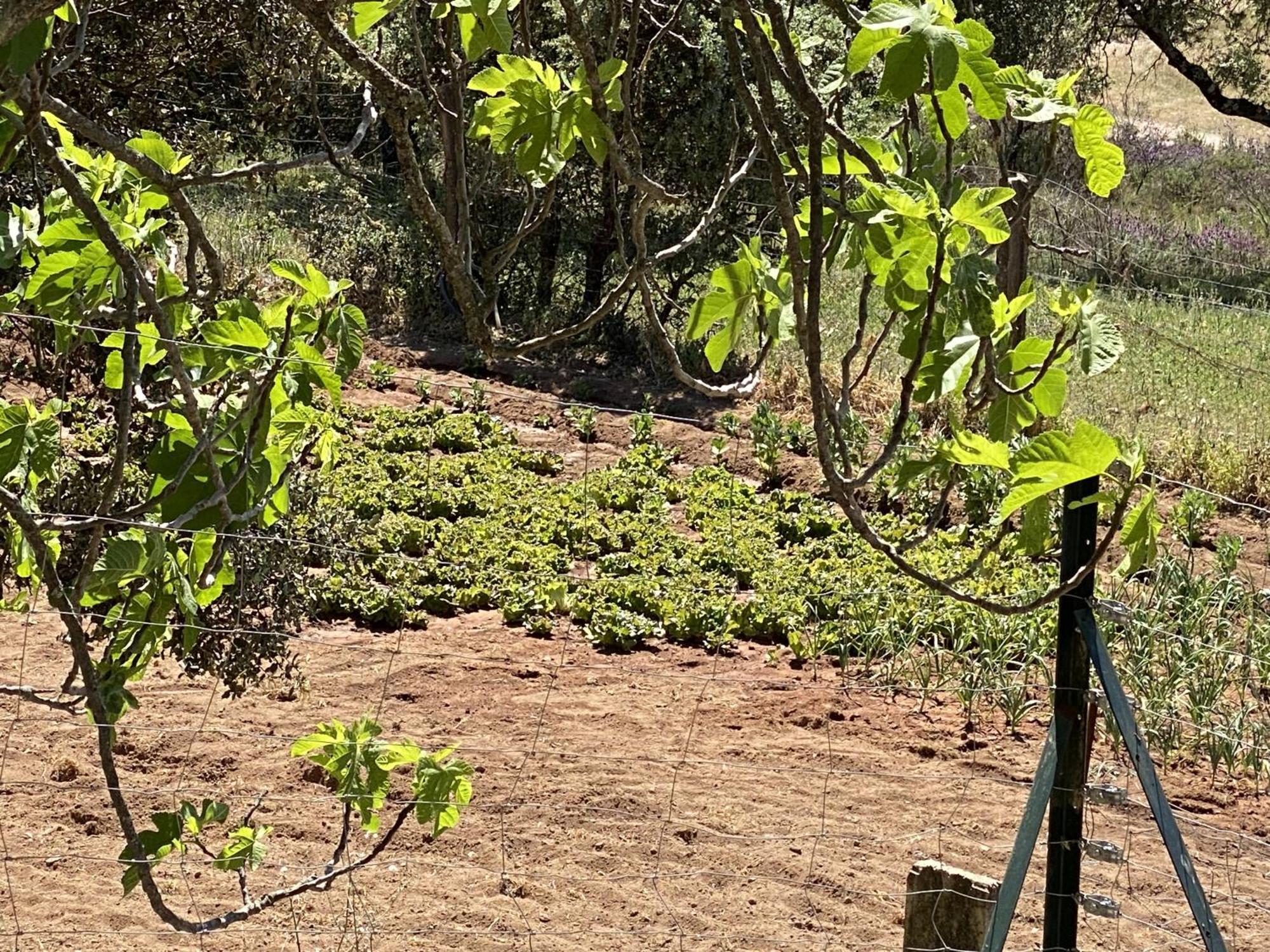Las Chorreras Del Orejon 2 Villaviciosa de Córdoba Εξωτερικό φωτογραφία